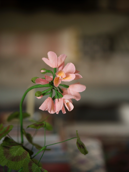 Paper Flower - Pink Geranium