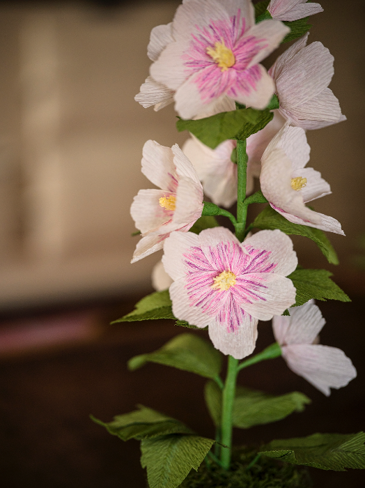 Paper Flower - Pink/white Hollyhock